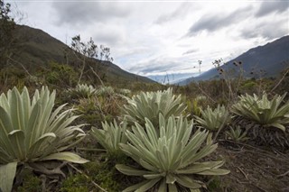 Colombia