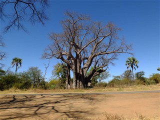 Djibouti