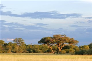 Djibouti