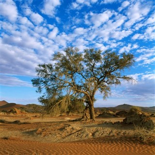 Djibouti