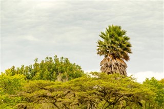 Ecuador