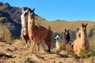 Ecuador