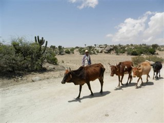 Eritrea