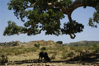 Eritrea