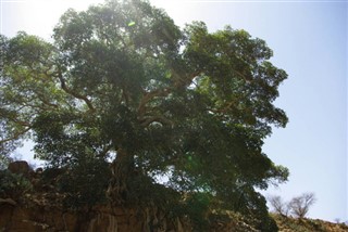 Eritrea