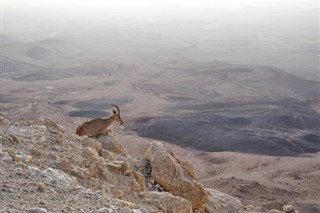 Eritrea