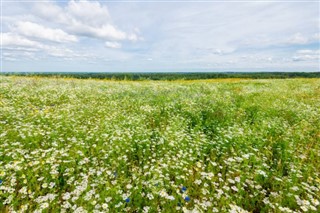 Estonia