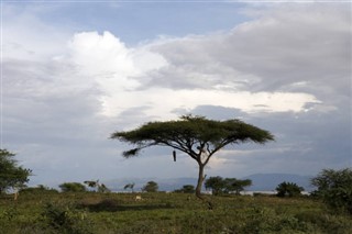 Ethiopia