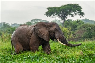 Ethiopia