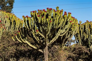 Ethiopia