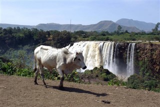 Ethiopia