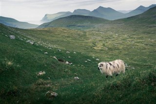 Faroe