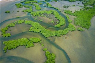 Gambia