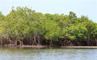 Gambia