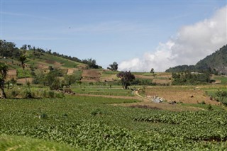 Guatemala