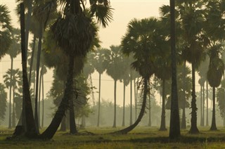 Haiti