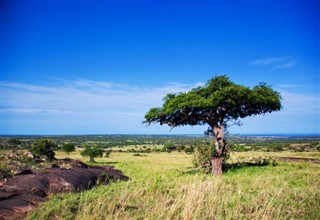 Kenya