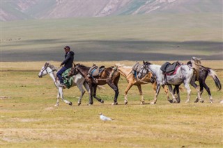 Kyrgyzstan