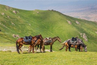 Kyrgyzstan