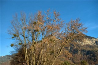 Liechtenstein