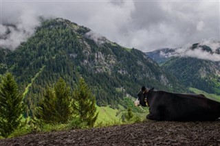 Liechtenstein