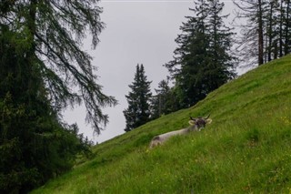 Liechtenstein