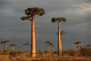 Madagascar