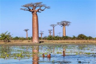 Madagascar