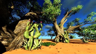 Madagascar