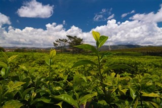 Madagascar