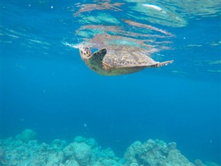 Mayotte