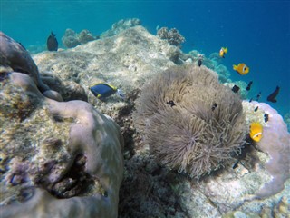 Mayotte