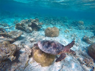 Mayotte