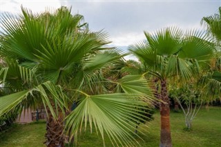 Mayotte