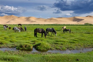 Mongolia