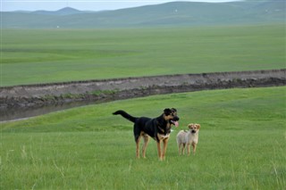 Mongolia