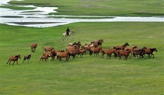 Mongolia