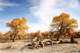 Mongolia