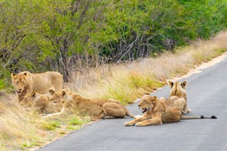 Mozambique