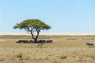 Namibia