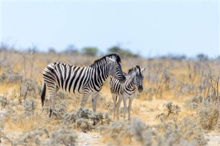 Namibia