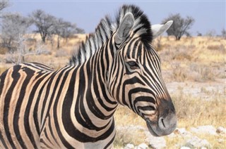 Namibia