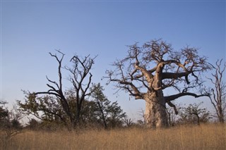 Namibia