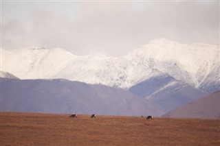 Nepal