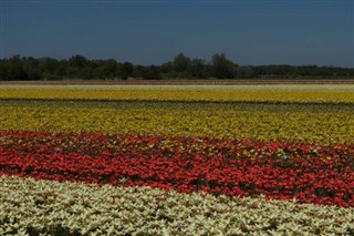 Netherlands