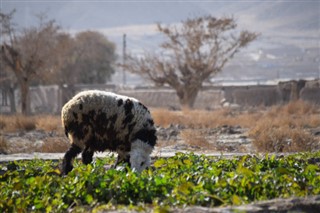 Pakistan