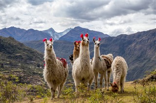 Peru