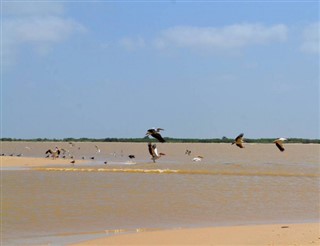 Senegal