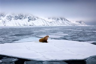 Svalbard