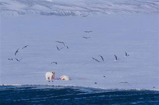 Svalbard